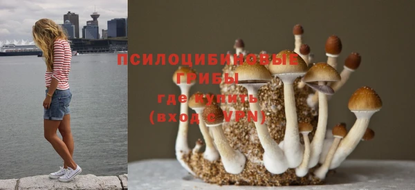 дживик Балабаново