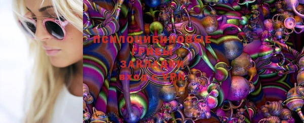 дживик Балабаново
