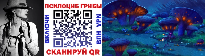 Псилоцибиновые грибы Psilocybe  Красноармейск 